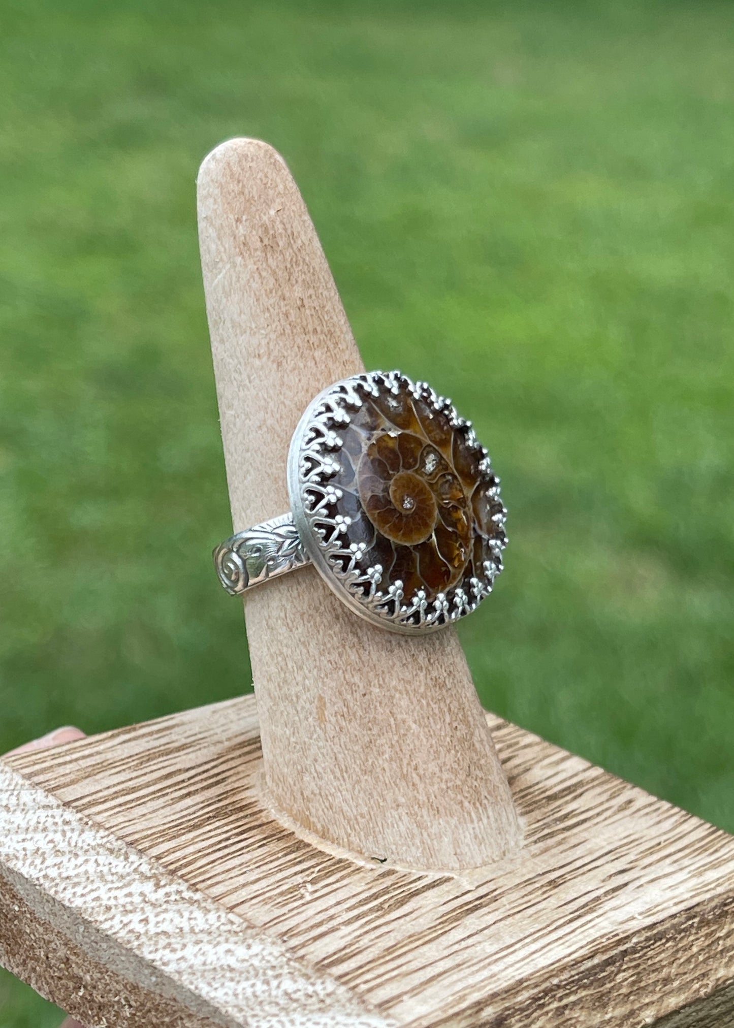 Size 8 • Ammonite Fossil Ring