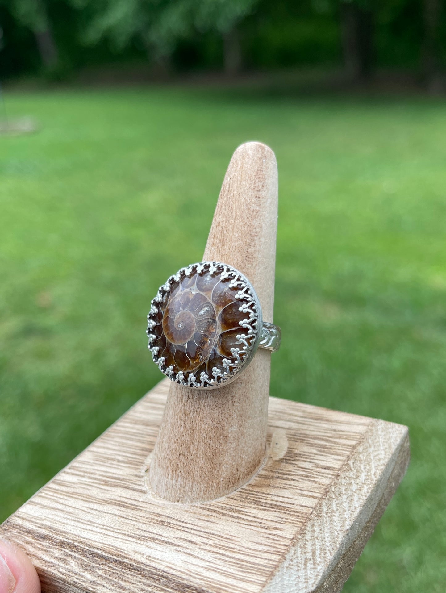 Size 8 • Ammonite Fossil Ring
