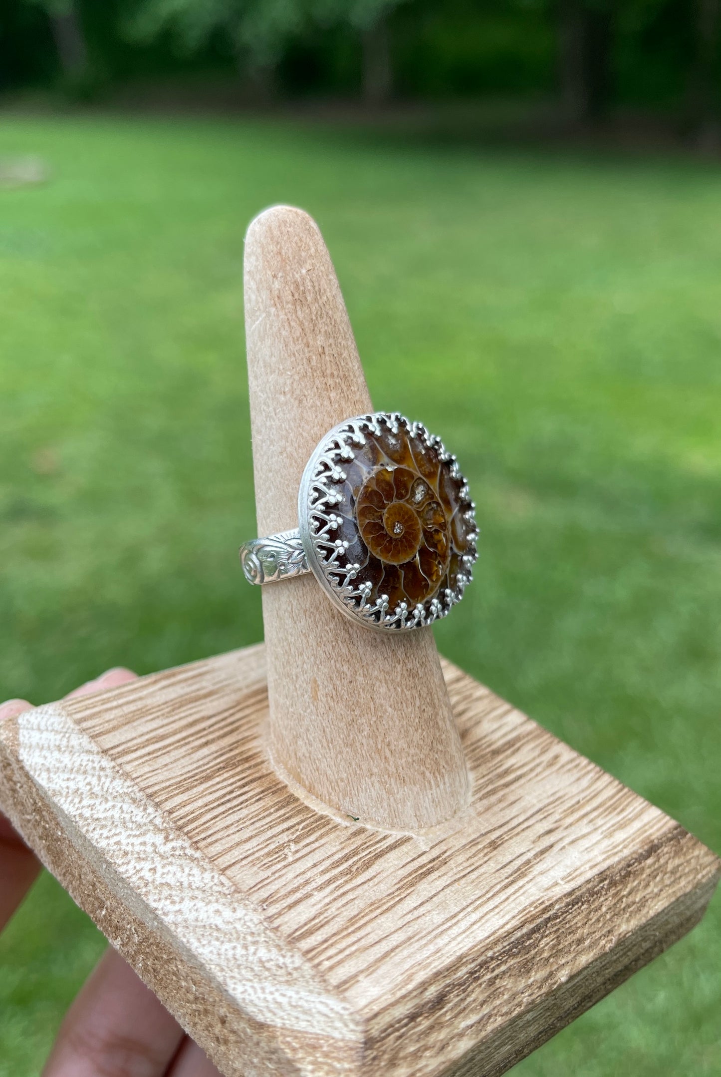 Size 8 • Ammonite Fossil Ring