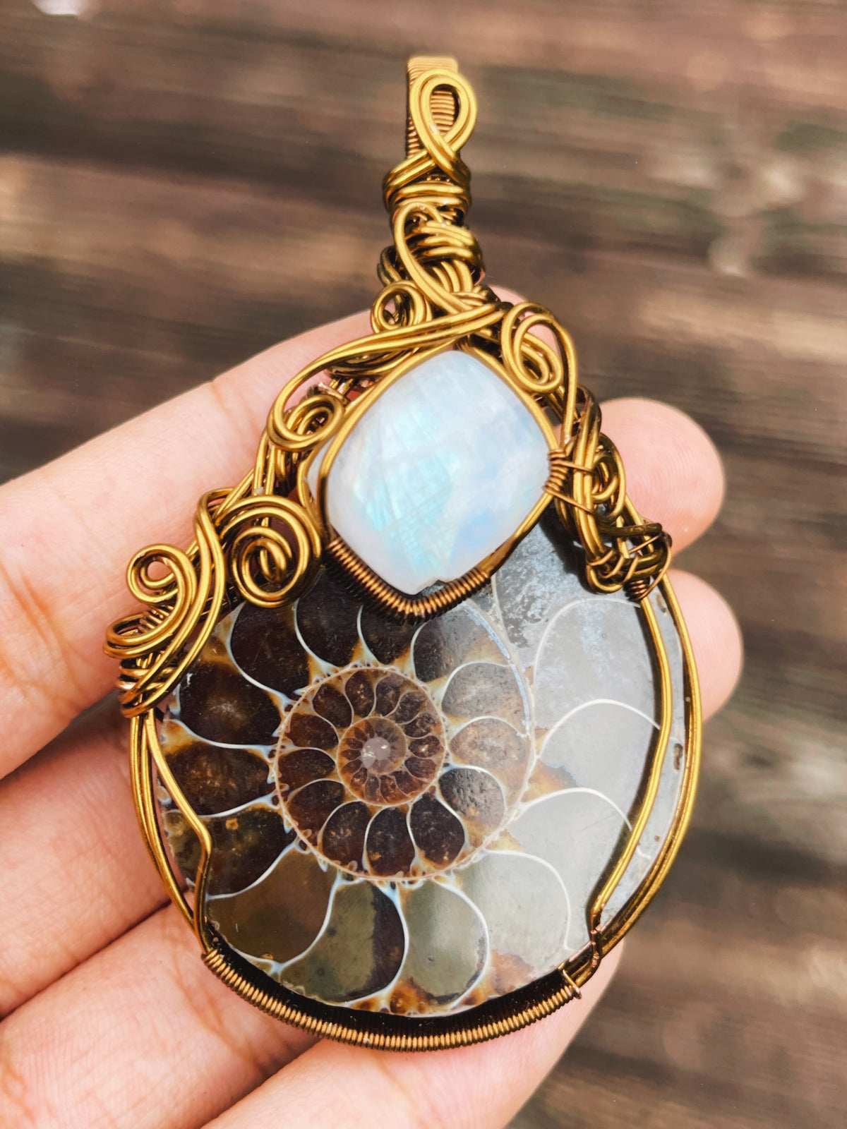 Riley • Ammonite Fossil + Moonstone Pendant