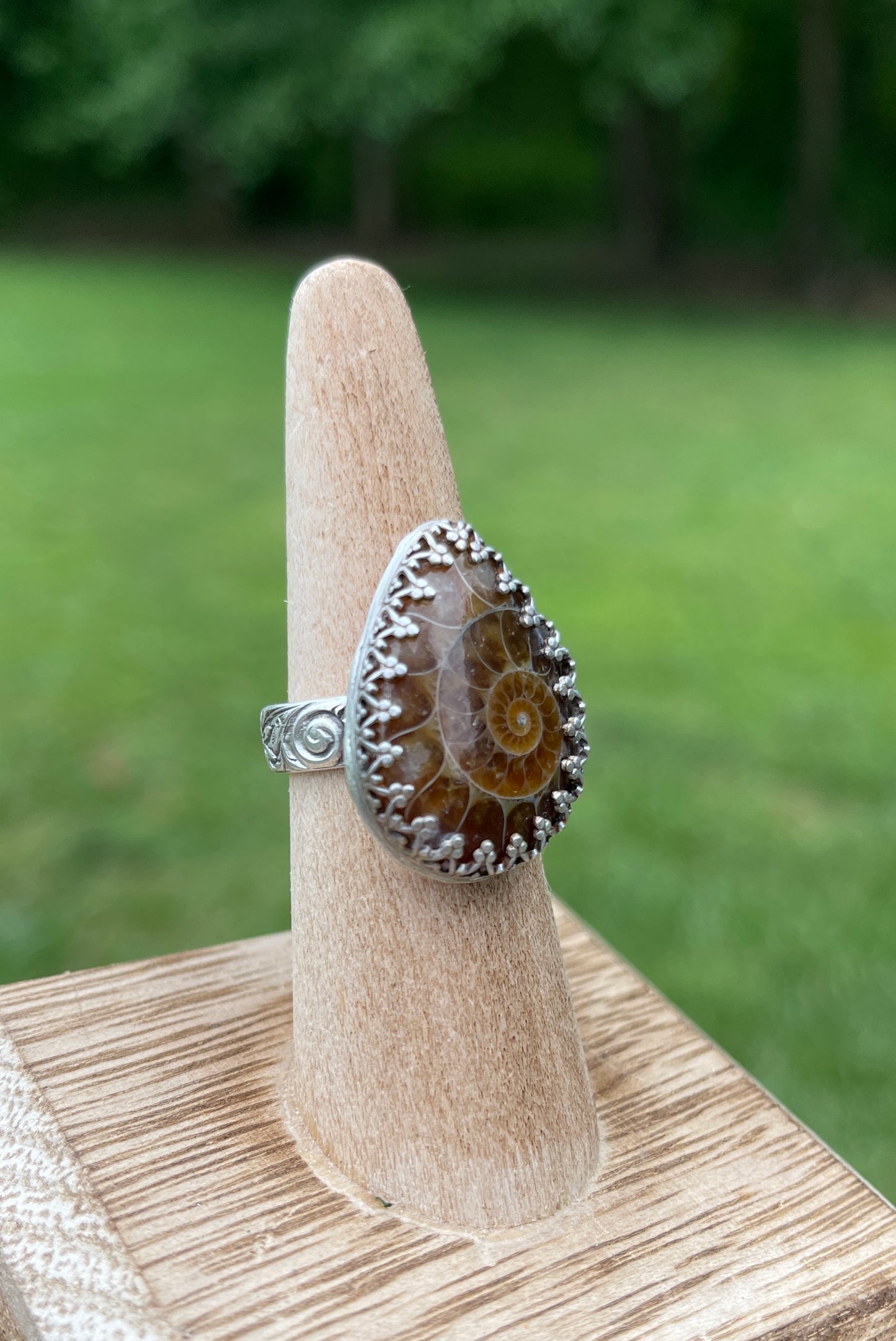 Size 7 • Ammonite Fossil Ring