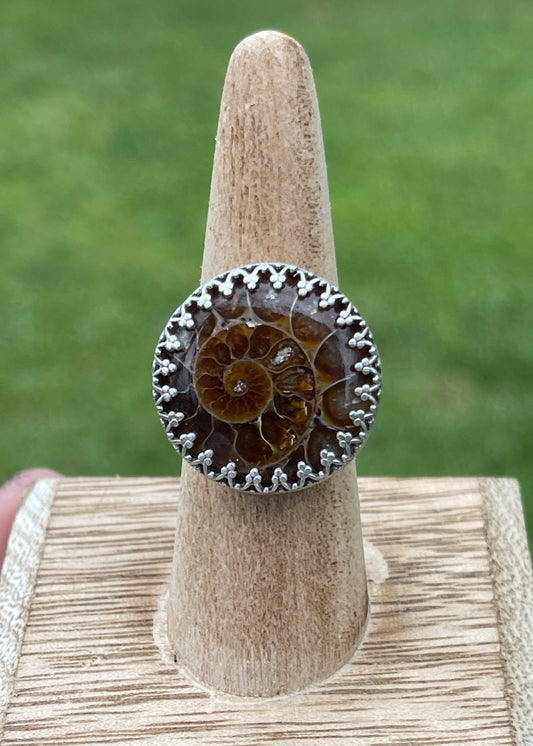 Size 8 • Ammonite Fossil Ring