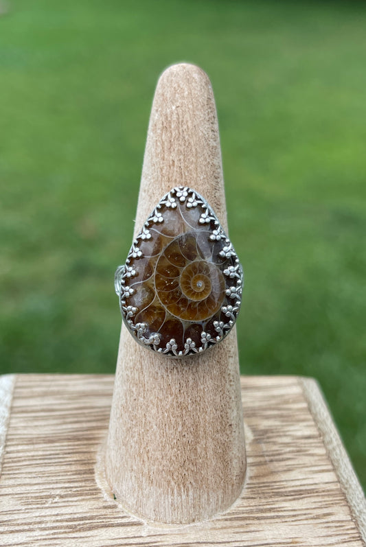 Size 7 • Ammonite Fossil Ring